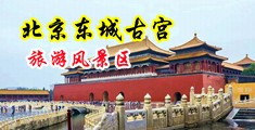 捆绑女人奶子视频中国北京-东城古宫旅游风景区